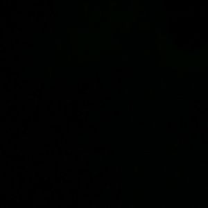 Meet your Posher, Brandi